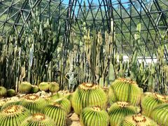 -深圳仙湖植物园