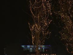 -纽扣NEWKO