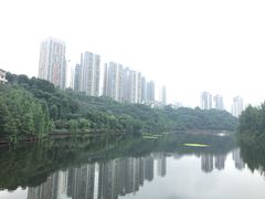 -重庆彩云湖湿地公园