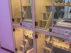 -爪爪喵星球·猫舍(前海卓越店)