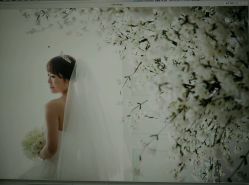 点击看大图 -韩国艺匠ARTIZ STUDIO(博览中心店)