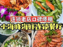 -亚龙湾热带天堂森林公园