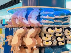 -上海海洋水族馆