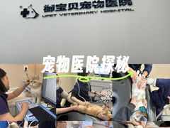 -御宝贝24h宠物医院·转诊中心·CT核磁血透中心(厦门总院)