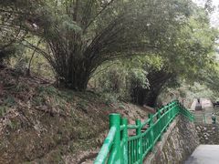 -潜山国家森林公园