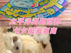 -太平洋海底世界