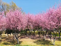 -白塘生态植物园
