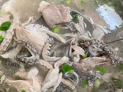 碗碗羊肉-攀枝花·任德琼·盐边羊肉米线