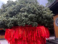 -龙华寺