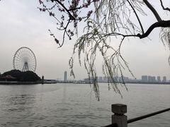 -无锡蠡湖国家湿地公园-蠡园