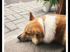 -阿木舂记·特色小吃(平江路店)