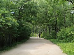 -西湖风景区-江洋畈生态公园