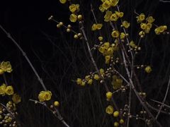 -杭州西湖风景名胜区-满觉陇四眼井