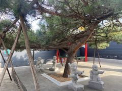 -长安寺