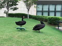 -南京圣和府邸豪华精选酒店