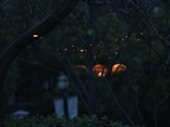 -BUND·FIVE外滩5号(天际店)