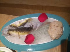 -青瓷火锅料理(西单大悦城店)