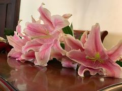 -中山路壹号传奇club·啤酒花园餐厅