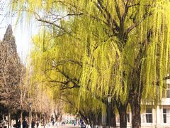 -曲阜师范大学(曲阜校区)