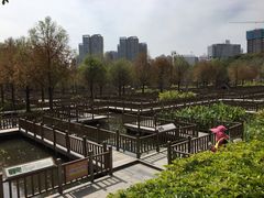 -五缘湾湿地公园