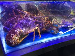 -盒马鲜生(莱蒙都会店)