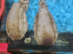 -鑫鸿达·海鲜闽菜热炒小馆(中山路店)