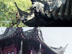 -豫园