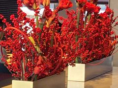 -拾久(朝阳公园店)