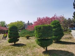 -北京世界公园