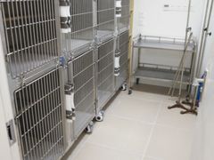 -乐派堂宠物医院·猫友好· 心脏科(东街店)