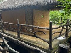 -海南槟榔谷黎苗文化旅游区