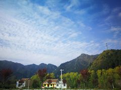 -王顺山国家森林公园