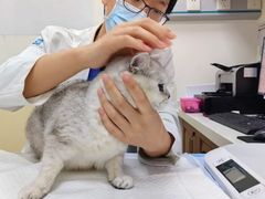 -美联众合动物医院·24h转诊中心