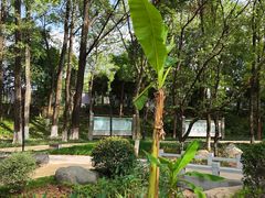 -鸡鸣山旅游景区