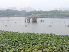 -大兴滨河森林公园