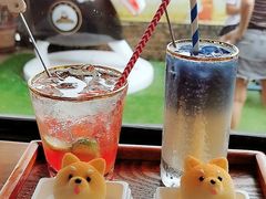 -柴犬高等学院·狗咖·柴犬售卖·宠物训练