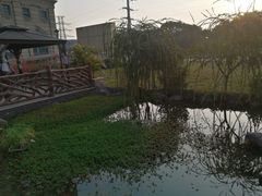 -国家五钻酒家·西樵旺阁渔村(西樵店)