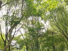 -杭州城北体育公园