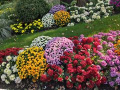 -上海共青森林公园