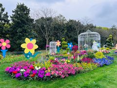 -上海共青森林公园