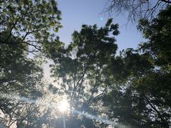 -迎泽公园