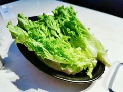 生菜-肥仔文澳门猪骨煲(南京西路店)
