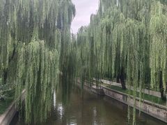-元大都城垣遗址公园