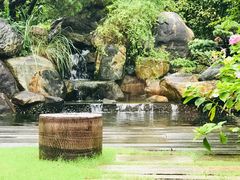 -新荣记(西溪湿地店)