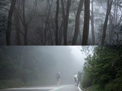 -梧桐山风景名胜区