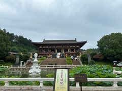 -庐山风景名胜区-东林大佛