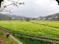 -红山村