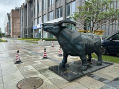 -上海长风大悦城