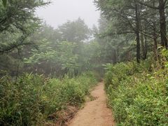-妙峰山风景名胜区