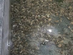-阔澜蒸汽海鲜自助